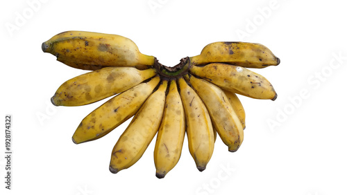Wallpaper Mural A bunch of ripe yellow bananas isolated on a transparent background. Fresh tropical fruit with a natural texture, a healthy organic food concept, a farming and nutrition theme. Torontodigital.ca