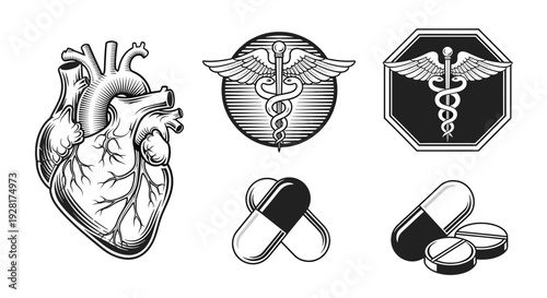 A detailed black and white illustration of a human heart, evoking themes of life, health, and the complexities of the human body. Ideal for medical co