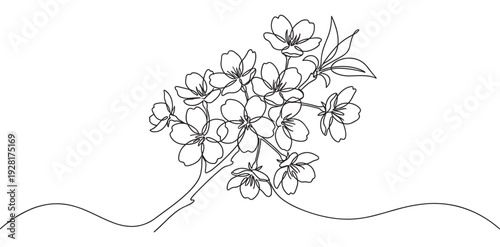 Continuous one line drawing of a cherry blossom branch shows the elegant and minimalist beauty of nature in a simple black and white illustration style