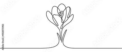 Single continuous line drawing of a crocus flower with delicate petals and a stem, rendered in a minimalist and elegant artistic style for a modern and clean aesthetic