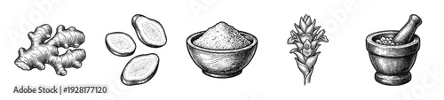 Vintage engraving style collection of turmeric root ginger slices powder bowl flower and wooden mortar with pestle set.