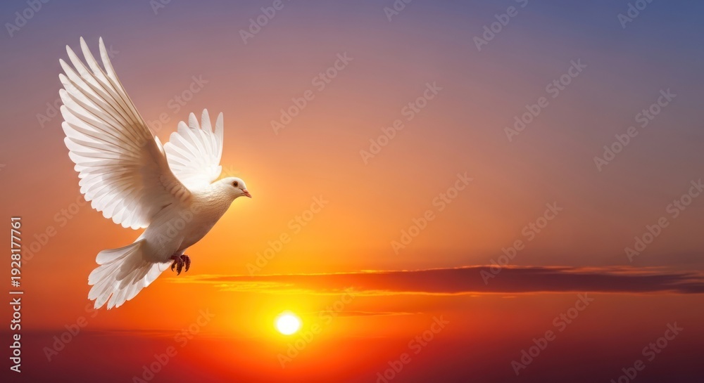 Fototapeta premium A white dove flying against a vibrant sunset sky.