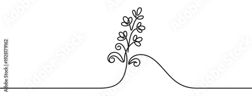 Continuous single line drawing of a growing plant with leaves and swirls in a minimalist, elegant style, representing nature, growth, and simplicity in a black and white illustration