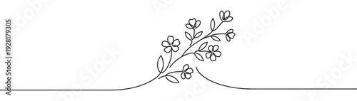 Continuous single line drawing of a flowering branch with delicate blossoms and leaves in a minimalist black and white style, creating an elegant and modern graphic element