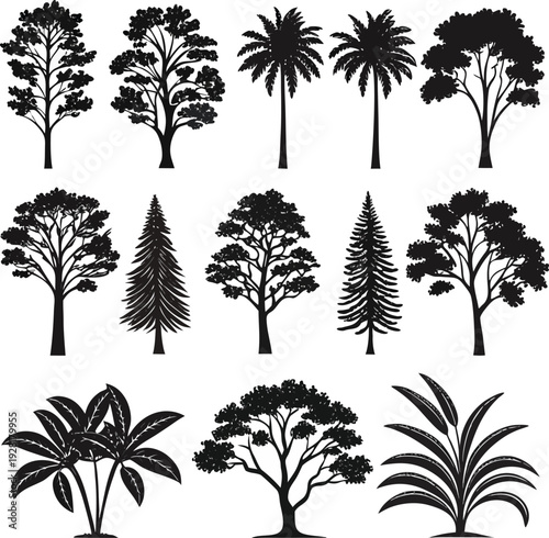Tree silhouette set vector with twelve diverse species including broadleaf, conifer, and palm designs