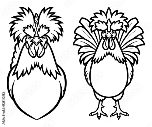 Detailed front view illustrations of roosters with expressive feathers