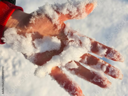 woman’s hand in the snow with snowflakes. Winter background. Close-up, selective focus.