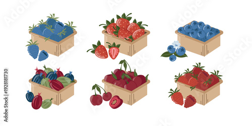 Strawberries, blueberries, raspberries, blackberries, cherries, and gooseberries in a supermarket box. Vector illustration on a white background.