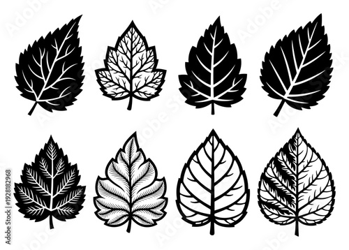 Collection of eight stylized tree leaves in traditional folk and graphic design styles