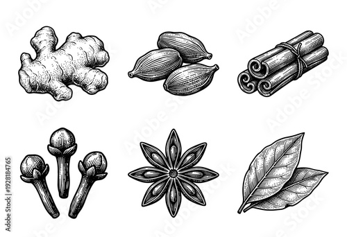 Vintage hand drawn spice collection featuring ginger cardamom cinnamon cloves star anise and bay leaves in woodcut engraving style