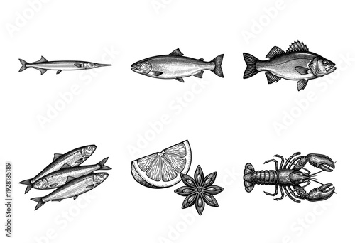 Vintage engraving collection of seafood including various fish species, lobster, lemon wedge, and star anise spice in a detailed woodcut style.
