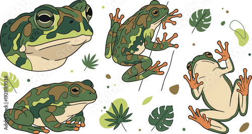 Realistic tree frog set with different poses tropical amphibian wildlife collection for nature education biology study and rainforest themed designs.