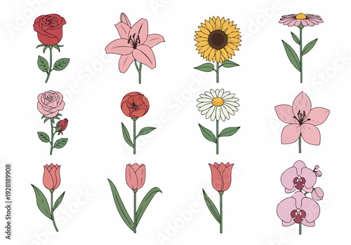 A Collection of Assorted Flowers Illustration Including Roses Tulips Orchids and Sunflowers