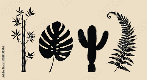 Black Silhouettes of Bamboo, Monstera Leaf, Cactus and and Fern on Beige Background