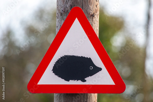 Hedgehog Caution Road Sign in the UK