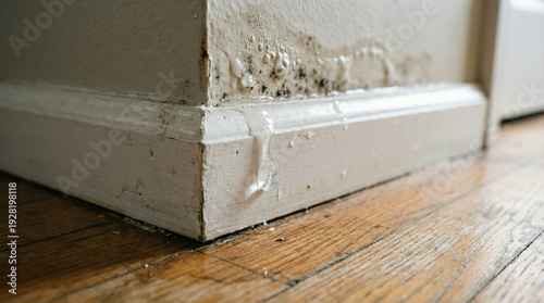 Close-up of accumulated water on a baseboard indicating a hidden pipe leak, causing paint peeling, mold growth, and interior water damage