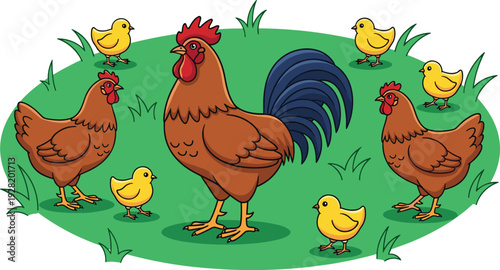Vector illustration of a farm poultry family featuring a rooster hens and yellow chicks on a green grass patch isolated on white