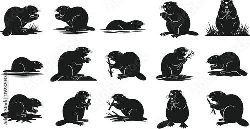 beaver silhouette, animal, wildlife, rodent, nature, forest, dam, aquatic, mammal, isolated, black, collection, character, wood, river, vector, illustration, design, clipart, ecology, wild, symbol