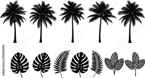 Collection of tropical palm trees monstera and fern leaf silhouettes isolated on white background botanical vector illustration set