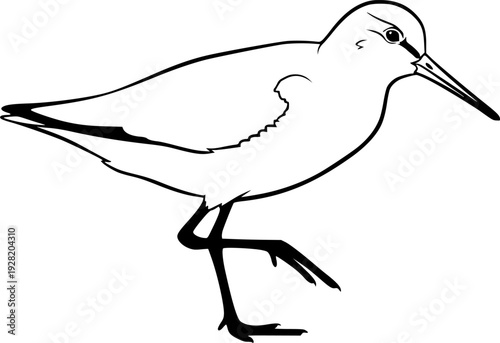 sandpiper silhouette line art vector illustration with a white background