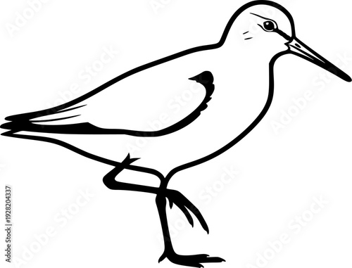 sandpiper silhouette line art vector illustration with a white background