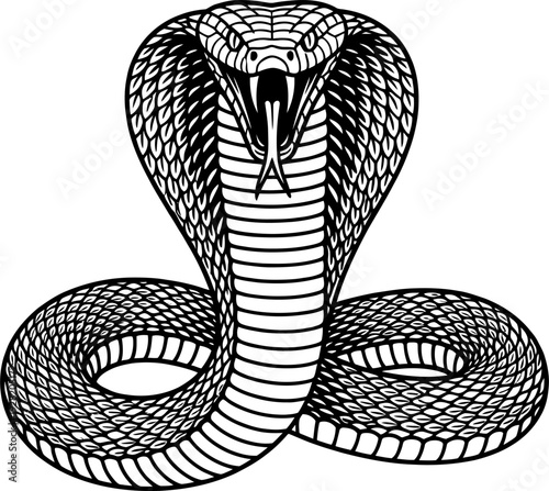 King Cobra Snake with Spread Hood, Aggressive Serpent Front View Illustration, Detailed Scales Line Art, Monochrome Reptile Design