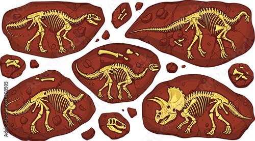 Set of dinosaur fossil vector illustrations featuring complete skeletons including triceratops skull and bone fragments embedded in rock on white background