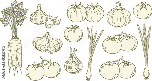 Hand drawn vegetable collection with garlic, tomatoes, onions, carrots and green onions, vintage botanical line art vector set for farm market and cooking design