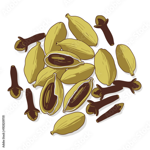 Cardamom pods and cinnamon sticks on white background  aromatic spices icon