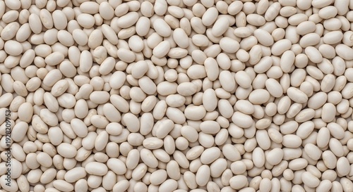 Closeup view of a large pile of dried white beans showcasing their texture and uniformity.