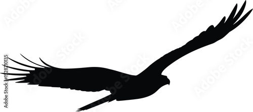 Flying eagle silhouette isolated on white background wildlife bird of prey illustration