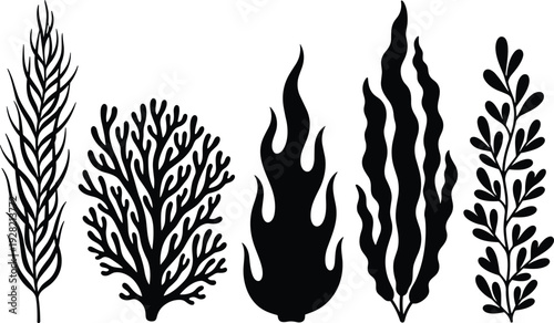 Minimalist black seaweed silhouette set featuring ocean algae coral aquatic plants marine nature collection isolated on white background vector illustration
