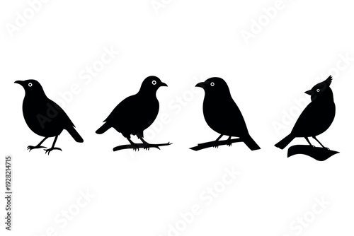 Icon set of lion design vector art illustration silhouette style on a white background