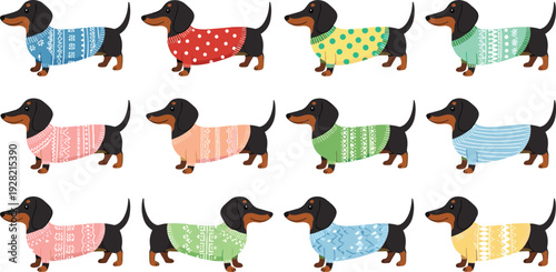 Set of cute dachshund vector illustrations featuring a black and tan sausage dog wearing various colorful patterned knit sweaters and winter jumpers