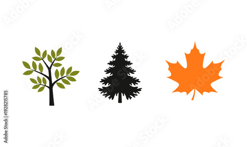 Nature trees and autumn leaf collection featuring green deciduous tree dark evergreen pine silhouette and orange maple leaf for seasonal design