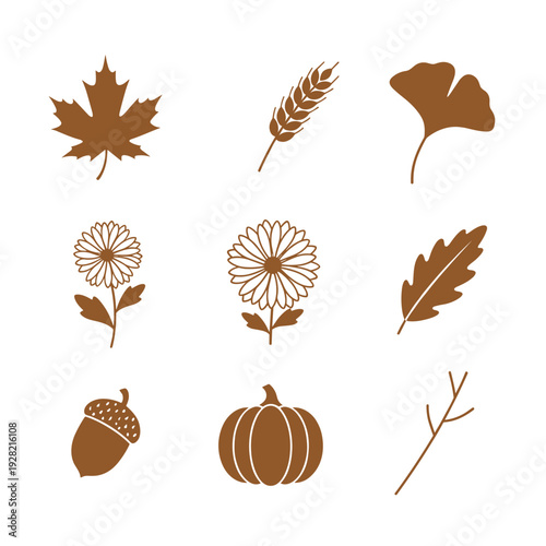 Autumn season nature elements set with maple leaf, wheat, ginkgo, flowers, oak leaf, acorn, pumpkin, and twig silhouettes for fall harvest design