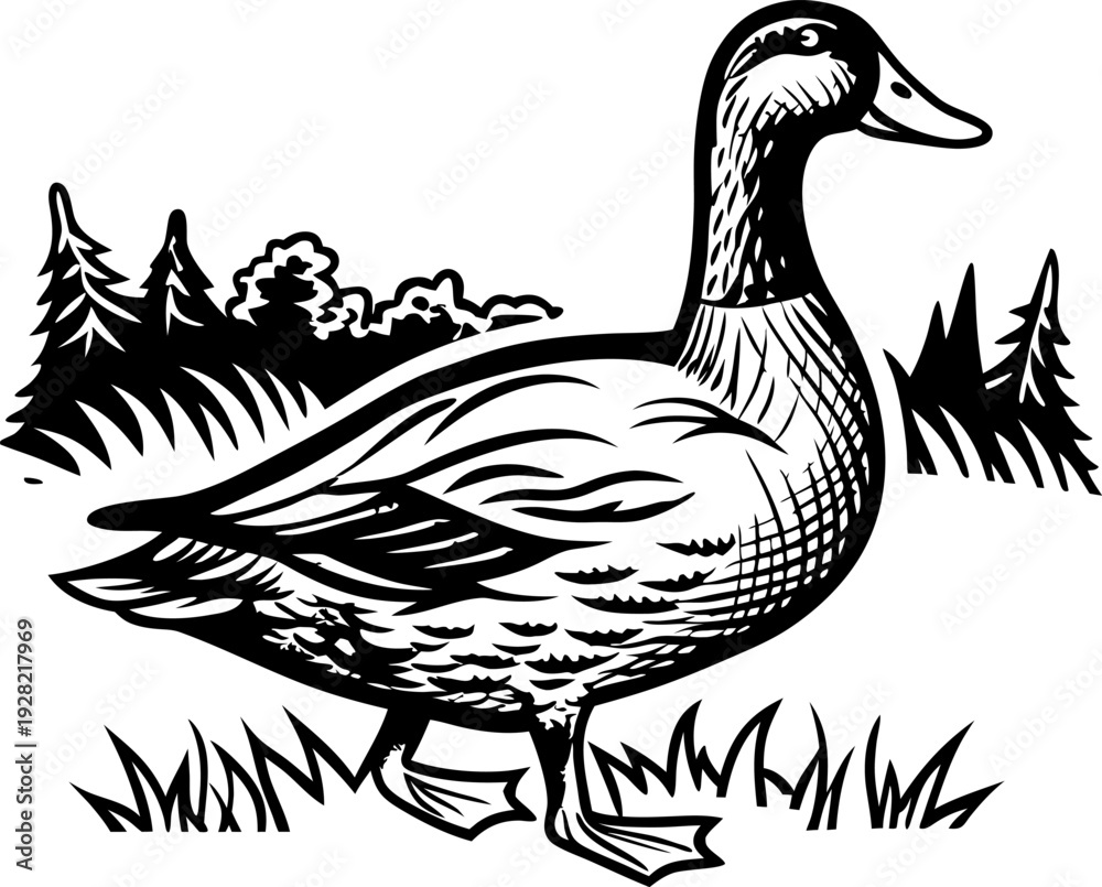 Fototapeta premium Duck standing in grass with forest background black and white illustration of a waterfowl in natural habitat