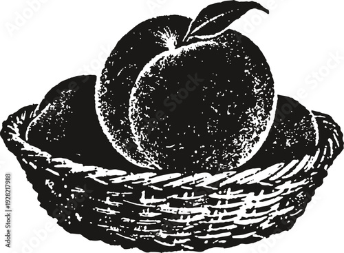 Basket of fresh apples with leaf, hand drawn vintage fruit illustration in black and white