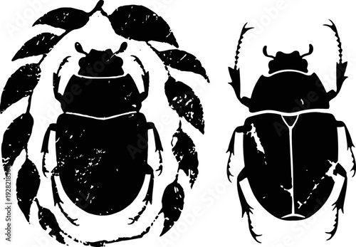 black silhouette of two beetles, one with a feather frame and one with detailed legs and antennae