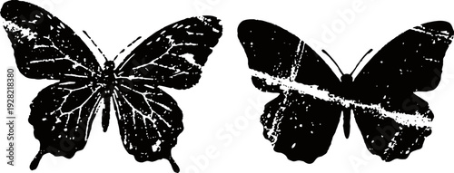 Silhouettes of two butterflies with detailed wing patterns, side by side on white background