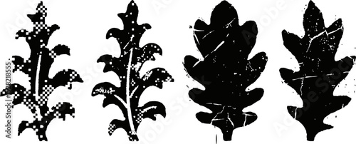 set of four black and white oak leaf silhouettes with detailed shapes and contours