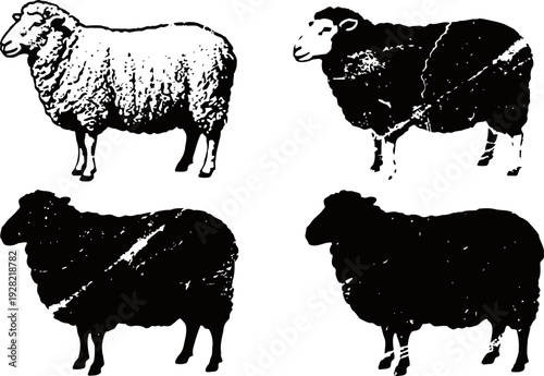 four sheep silhouettes with detailed wool texture and solid black shapes in contrasting styles