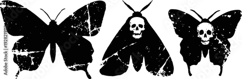 Black butterflies with white skull markings, gothic insect silhouettes, dark spooky halloween design