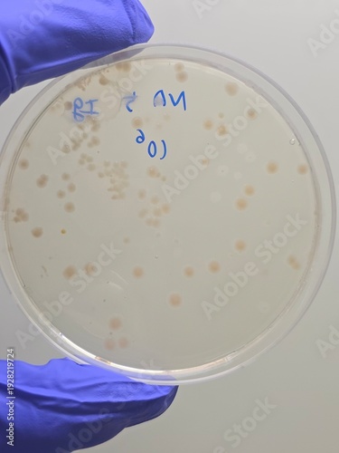 test tubes in laboratory