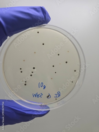 test tubes in laboratory