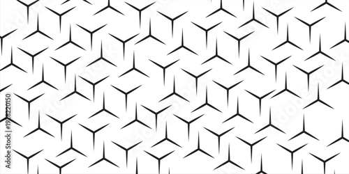 Ornament with elements of black and white colors.