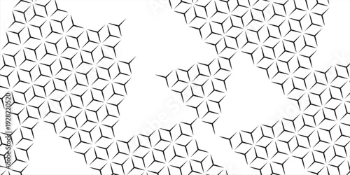 Ornament with elements of black and white colors.