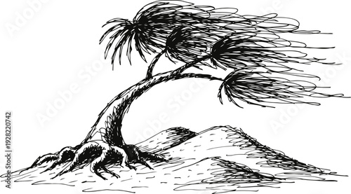 Windblown tree with exposed roots bent over hill in black ink sketch