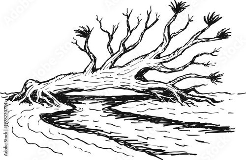 fallen tree trunk by riverbank with exposed roots and sparse branches in natural landscape