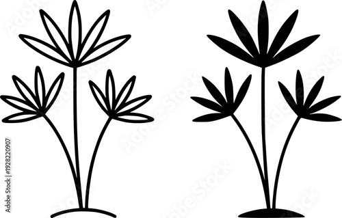 Black and white lady palm illustration set : outline and silhouette icons